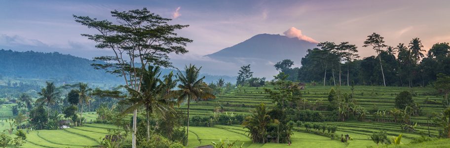 Top 5 Health Scares for Travellers