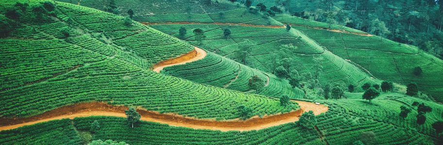 Sri Lanka Travel Vaccinations